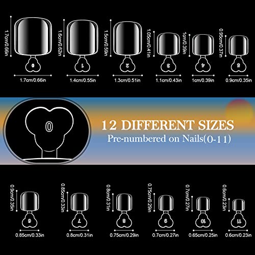 Ranrose Fake Pound Dicas 480pc Tampa completa dos pés acrílicos 12 tamanhos de dedo falso unhas com dicas de unhas para a prensa