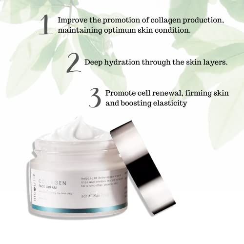Bisou Skincare Collagen Face & Neck Cream - Hidratante antienvelhecimento dia e noite com ácido hialurônico - reduz linhas