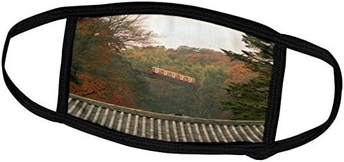Cor de outono 3drose em torno da ferrovia de trem a cabo, Kyoto, Japão -AS15 STE0148 -. - Máscaras