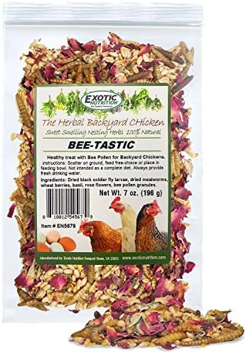 Nutrição Exótica Bee -Tastic - Trelas de frango totalmente naturais saudáveis ​​- insetos secos, flores, bagas de trigo e pólen de abelha - promove galinhas e ovos saudáveis