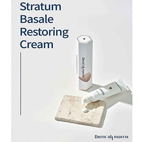 [Derm · Toda a matriz] Stratum Basale Restaurando creme | Fortalecendo a barreira da pele | Um cuidado hidratante genuíno |