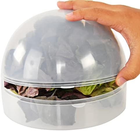 Home-X Alface Keeper, recipiente de armazenamento de alimentos com tampa para frutas e legumes, 2 pacote