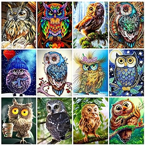 Decoração de parede XJS 5D Diamond Mosaic Owlwork Sets Full Sets Full Borderyer Animal Picture of Rhinestones Home Decor