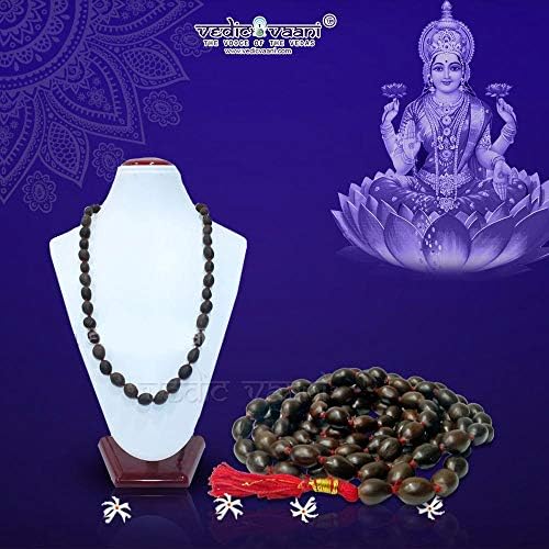 Vaani Vaani sagrado shree mahalakshmi/Shri laxmi sampoorna mahayantram puja, definindo neste pacote um mahalakshmi yantra, lotus semente de mala e verde jade shree yantra para riqueza e sucesso de casa e escritórios