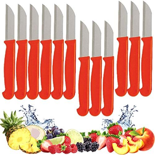 Facas de paring de frutas - Conjunto de facas de 12 - Com a aparência elegante de couro - faca de faca de cozinha pequena faca de