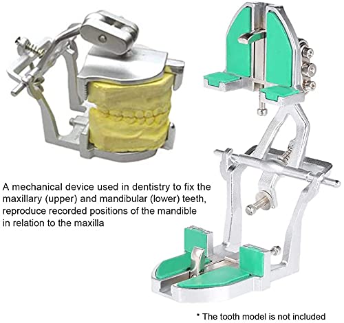 Ferramenta de laboratório magnético de articulador ajustável Dental