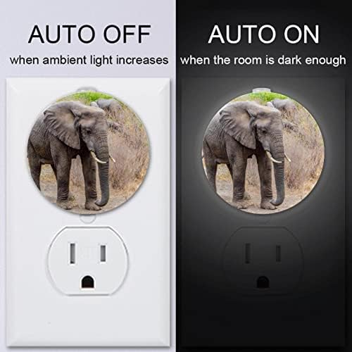2 Pacote de plug-in nightlight noturno noite luz africana elefante cinza floresta com sensor de entardecer ao amanhecer