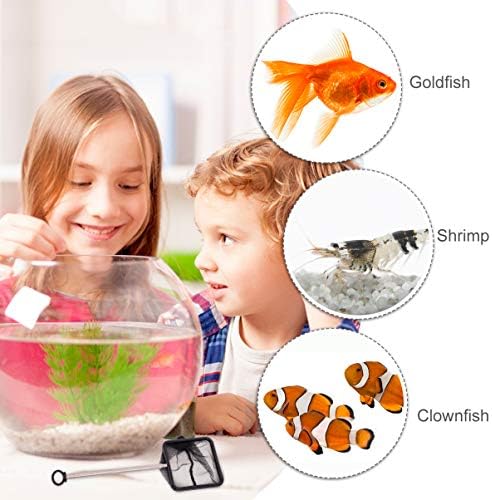 Zerodeko Kids Pool Mini Mesh Fish Tank NETA: Pequena rede telescópica de peixe com alça extensível para os lagos de aquário tanque