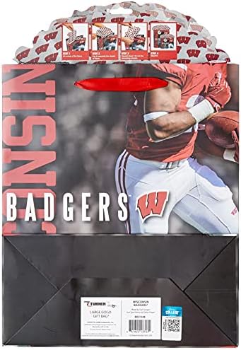 Turner licenciando Wisconsin Badgers Grande Bolsa de Presente Gogo, Multi