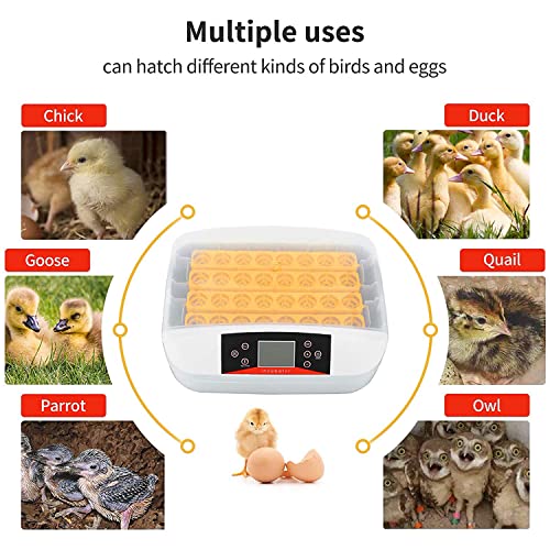 55 Incubadora de ovos, fazenda Máquina de incubador de incubadoras de aves de aves com giro automático, controle de temperatura