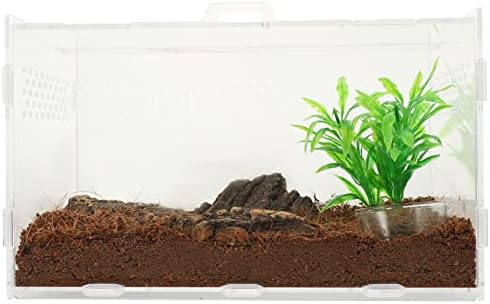 IPETBOOM REPTILE TERRARIUM ACLICO ACLICO DE TARANTULA HERMIT CARCO TANK Spider Spider Cage Caixa de criação transparente