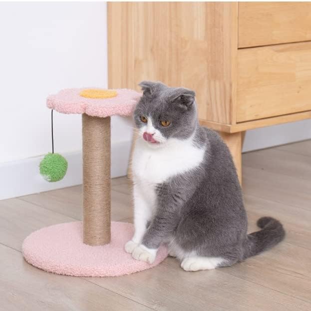 Walnuta Scrtanding Pólo Tree Fun Sisal Post Scratch Tower Pulls Ball Jump Play Toy Pet Kitten Frame para gatos