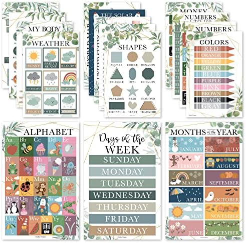 6 Cartazes de leitura de vegetação para decorações da biblioteca da sala de aula para a escola, 16 pôsteres educacionais