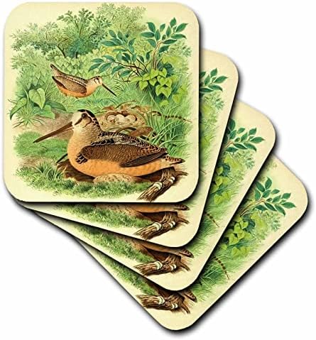 3drose vintage pássaro impressão americana woodcock birds antiquário ilustração - montanhas -russas