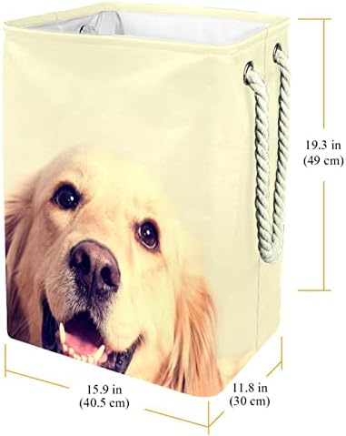 Cão Golden retriever lavanderia grande cestas de pano sujo Hampers com alças caixas de armazenamento dobráveis
