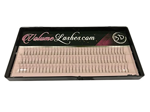 Volume Lashes