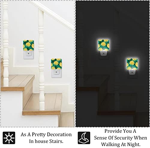 Rodailycay sensor leve à noite Flor amarela clara, 2 Pacote de luzes noturnas se conectam na parede, luz noturna de LED branca quente para viveiro, quarto, banheiro, corredor, quarto infantil, escadas