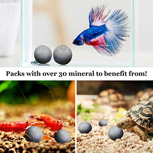 SunGrow 10 Hermit Crab, Lagshish Cálcio Bolas de Complemento, Benéficas para Moldagem para Animais, com mais de 30 minerais benéficos