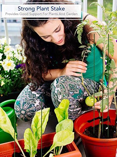 Importações reais de 12 Planta de madeira verde, picaretas florais, palitos de torrefação, palitos de jardim de postagem de placas de madeira