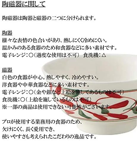 セトモノホンポ Lesão 8,0 prato [9,8 x 1,8 polegadas] | Utensílios de mesa japoneses
