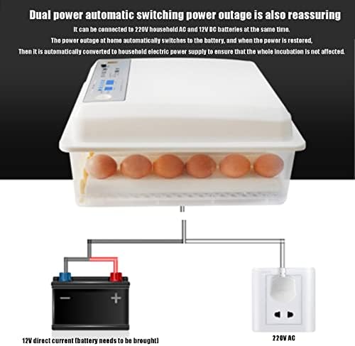 Incubadora de ovos de incubação totalmente automática de oxl, ovos de frango e pato e ovos de ganso, 16 ovos de eclosão