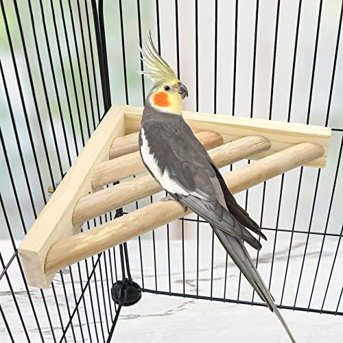 Litewoo Bird Pold Platform Platform Stand Plataforma para pássaros Budgie periquito Capacatiel Conection Cockatoo （escada）