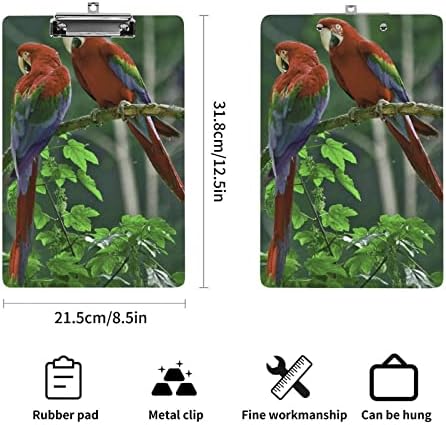 Parrot acrílico de transferência 12,5 x 8,5 polegadas com clipe de baixo perfil para salas de aula Escritórios Restaurantes