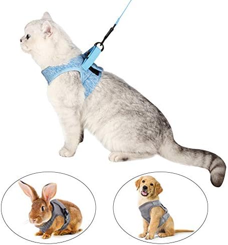 Heywean Cat Harness and Leash