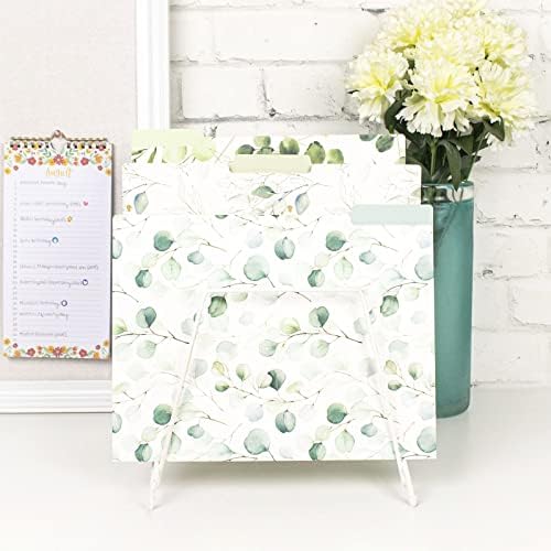 Planejadores diários Bloom Pastas de arquivo decorativas - Conjunto de seis organizadores de tamanho de carta, 1/3 de abas Cut - Designs variados - Eucalipto