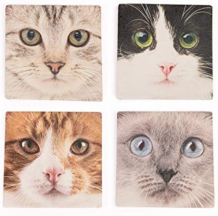 P. Graham Dunn Faces de gatos coloridos 4 x 4 Coasteres de cerâmica absorventes Conjunto de 4