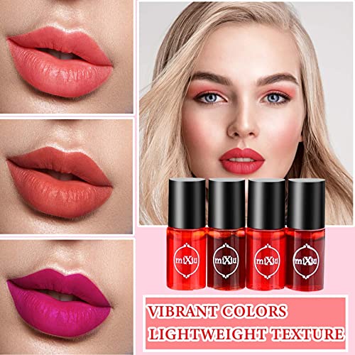 Conjunto de manchas de tonalidade labial 4pcs, lábio líquido de batom líquido Lips Lip Lip Lip Lip Lip Lip e bochecha Bush multiuso blush, mancha de lábios hidratantes Lipes durar a maquiagem labial à prova d'água para mulheres