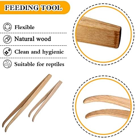 Tweezers de bambu de répteis asocea Lizard alimentador de fins de alimentação para dragões barbudos lguanas lagartos lagartos