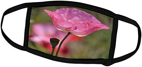 Flores PS de 3drose - linda flor de papoula rosa - floral inspirado - máscaras faciais
