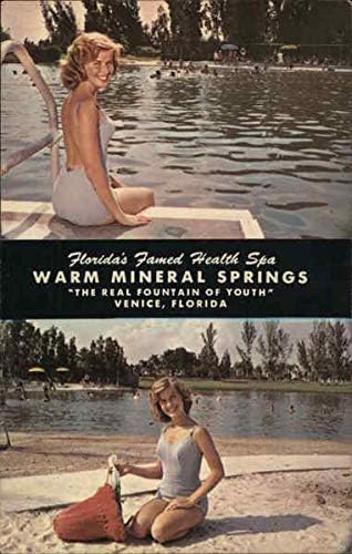 Warm Mineral Springs Veneza, Florida FL Original Vintage Postcard