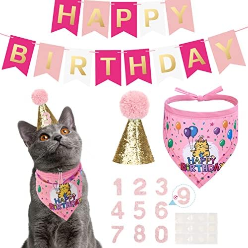 Expawlorer Cat Birthday Party Supplies, Kitty Bandana Sconse & Birthday Number Hat com bandeira, Pink Parabéns de Feliz