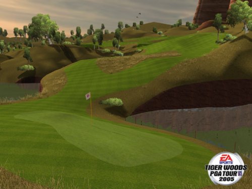 Tiger Woods PGA Tour 2005 - PC