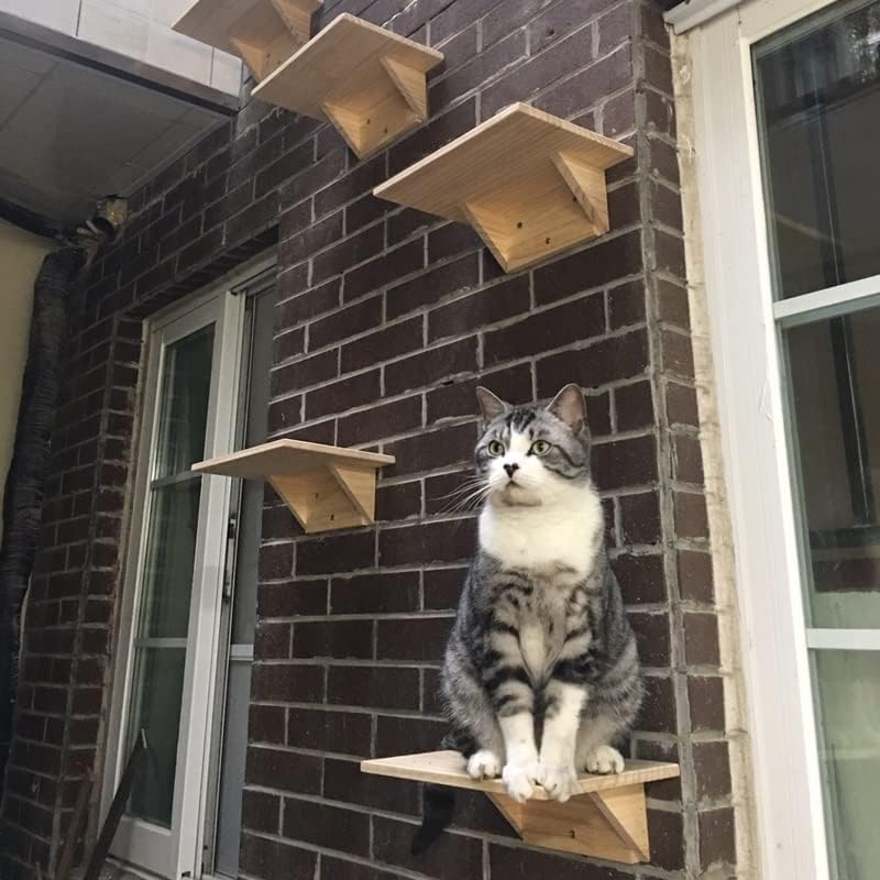 IULJH CAT Árvore Cat Frame Stratch Placa de gato de madeira Plataforma de jumping Diy Pet Furniture Kitten Springboard Montado com parede