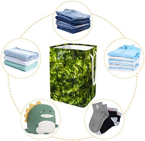 Deyya Cestas de lavanderia à prova d'água Alto close dobrável de textura de algas marinhas verdes cesto para crianças adultas meninos