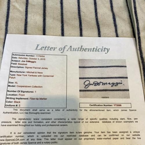 Joe DiMaggio assinou autêntico 1939 New York Yankees Modelo