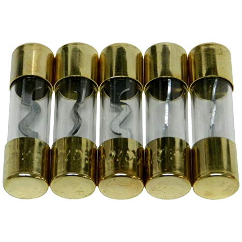Bass Rockers 5 Gold Plated Fuses 100A - Agu100a