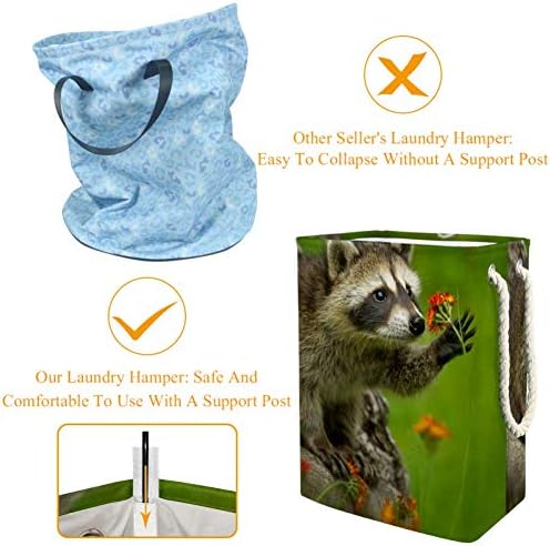 Raccoon em Minnesota 300d Oxford PVC Roupas à prova d'água cesto de lavanderia grande para cobertores Toys de roupas no quarto