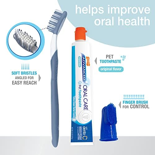 Nylabone Advanced Oral Care Kit Dental Kit Original Sabor Original 2,5 oz.