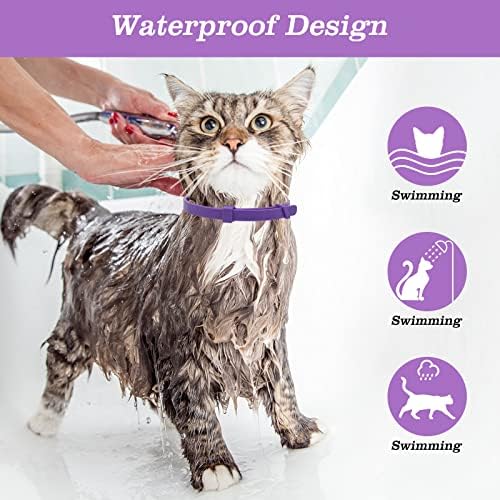 Colar de gatos de gato de gato de gato para gatos calmando colar de feromônio para gatos colar de gatos naturais colarinho calmante para ansiedade colar de gato impermeável ajustável Reduza o colar calmo da ansiedade para gatos