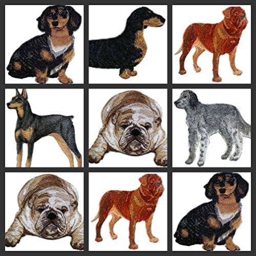 Incrível retratos de cães personalizados [Dachshund Longhair] Bordado de ferro On/Sew Patch [6 x 5] [Feito nos EUA]