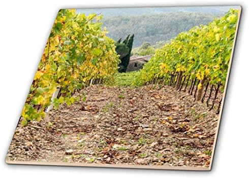 3drose Itália, Toscana. Colinas íngremes de vinhedos na região de Chianti. -Cerâmico ladrilho, 4 polegadas, multicolor
