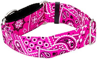 Colares caninus rosa bandana Paisley - 5/8 - 2 Warth Dog Collar - fivela e martingale