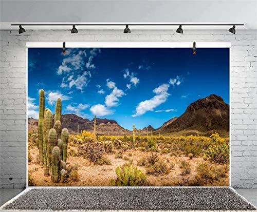 Leyiyi 36x14 polegadas Joshua Árvore Nacional Parque Nacional Photography Antecedentes México Cacto Árido Árido Deserto Deserto Planta de Planta SAGUARO ARENHA DRISA Montanha Vista Terrarium Polyster Wall Papel de parede de poliéster