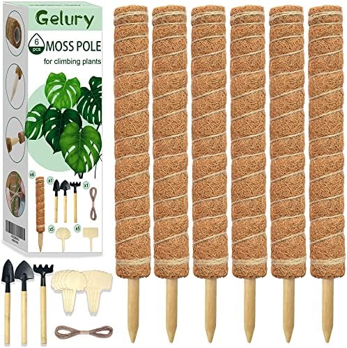 Gelury Moss Pólo, 31,5 '' Pólo de musgo dobrável para plantas monstera, 2 pacote de coco totens de coco Suporte de planta para escalada, palitos de plantas para trepadeiras de Monstera