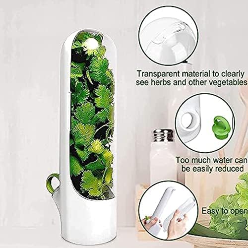 2pcs Earda de erva para geladeira, garrafa de preservação de vegetais de ervas, recipientes de coentro para geladeira, detentor