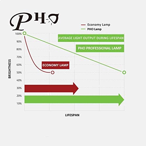 Pho np06lp 60002234 bulbo de substituição original genuína com alojamento para nec np3250 np3250+ np3250j np3250w np3250wg